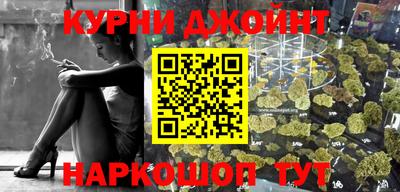 стаф Можга