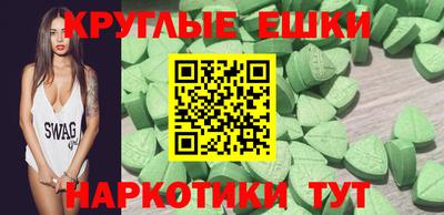 стаф Можга