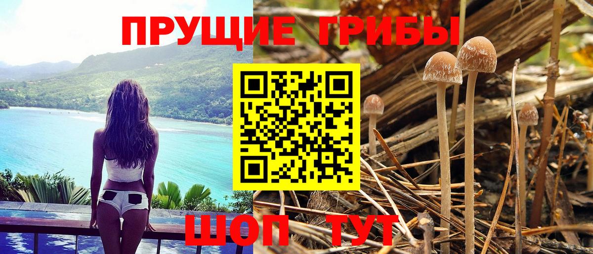 Псилоцибиновые грибы ЛСД  Вход с VPN  Великий Устюг 