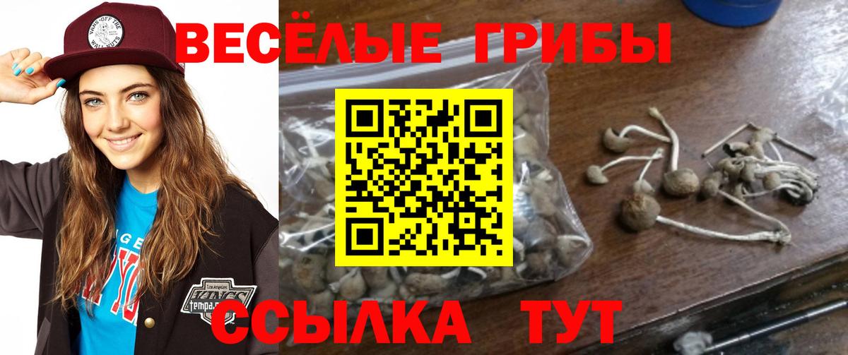 Псилоцибиновые грибы прущие грибы Великий Устюг